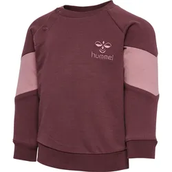 HUMMEL hmlKRIS SWEATSHIRT catawba grape 56