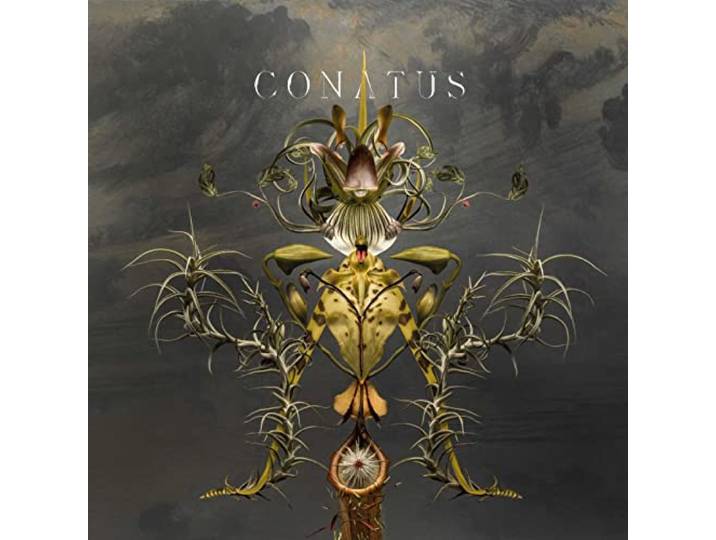 Joep Beving - Conatus