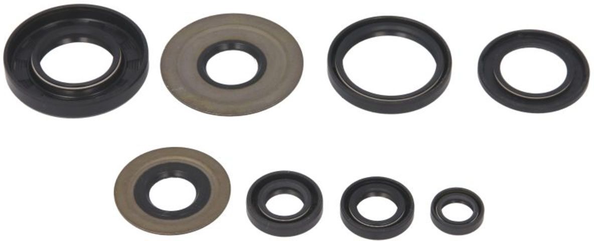 Pochette de joints moteur WINDEROSA W822154