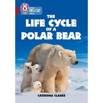 The Life Cycle of a Polar Bear, Taschenbuch von Catriona Clarke, HarperCollins, 978-0-00-820881-3