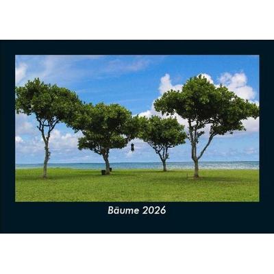 Bäume 2026 Fotokalender DIN A5