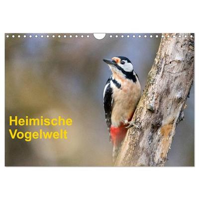 Heimische Vogelwelt (Wandkalender 2027 DIN A4 quer), CALVENDO Monatskalender