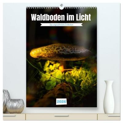 Waldboden im Licht (hochwertiger Premium Wandkalender 2026 DIN A2 hoch), Kunstdruck in Hochglanz