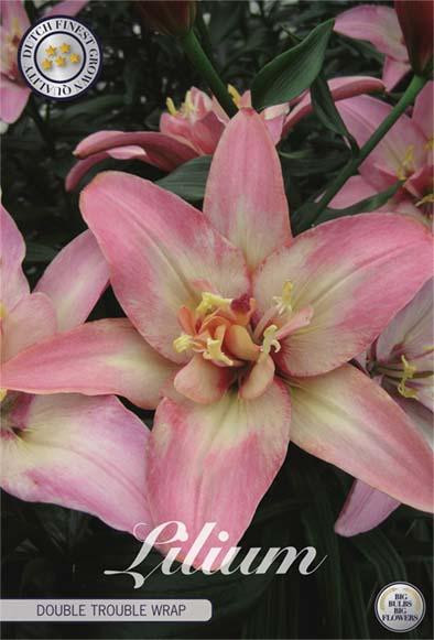 Sam van Schooten Lilie Double Trouble Lilibollen, 2 stuks