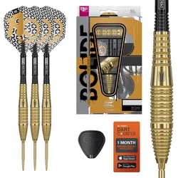 Target Bolide Envy 05 Swiss Points Steeldarts