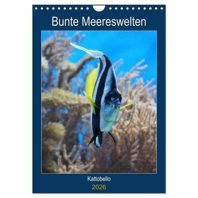 Bunte Meereswelten (Wandkalender 2026 DIN A4 hoch), CALVENDO Monatskalender
