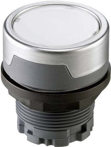 Schlegel RMCTKL RMCTKL Drucktaster Silber-Grau 1St.