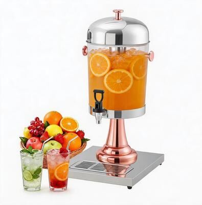 Garvee Commercial Beverage Dispenser with Ice Core, Stainless Steel Drink Dispenser with Stand, Spigot and Drip Tray