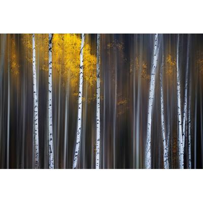 Fototapete PAPERMOON "Photo-Art ANDY HU, FALLVORHANG", bunt, B:3,5m L:2,6m, Vlies, Tapeten