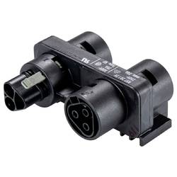 Wieland Electric 96.030.0253.1 Verteiler