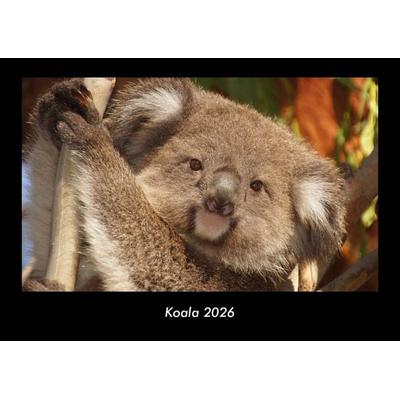 Koala 2026 Fotokalender DIN A3