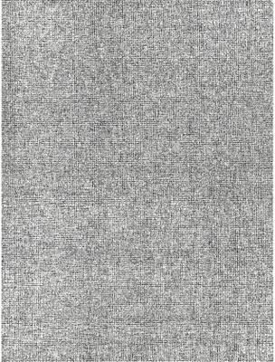 EXQUISITE RUGS Caprice Hand-tufted New Zealand Wool Black/Ivory Area Rug.