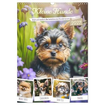 Kleine Hunde. Süß und niedlich. Die beliebtesten Hunderassen (Wandkalender 2027 DIN A3 hoch), CALVENDO Monatskalender