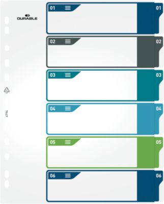 Register Durable, 6-teilig, DIN A4+, Indexblatt, EDV-beschriftbares Register, mit farbigen Taben