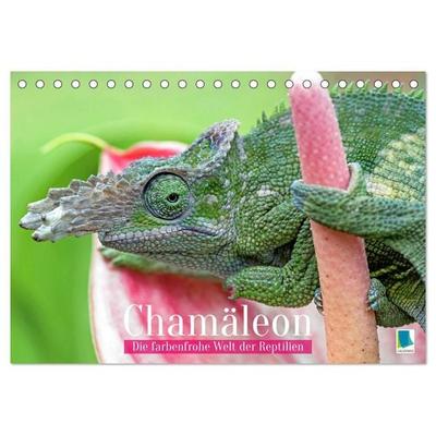 Chamäleon: Die farbenfrohe Welt der Reptilien (Tischkalender 2027 DIN A5 quer), CALVENDO Monatskalender