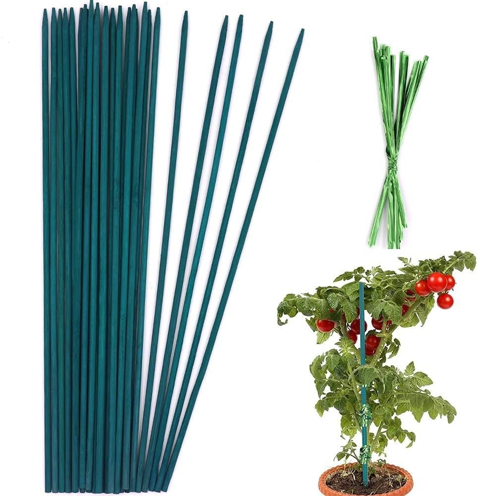 Groene Bamboe Stokken voor Tuinondersteuning