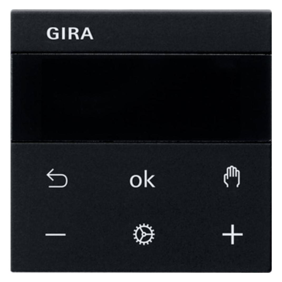 Gira RTR Display 5393005 (5393005)