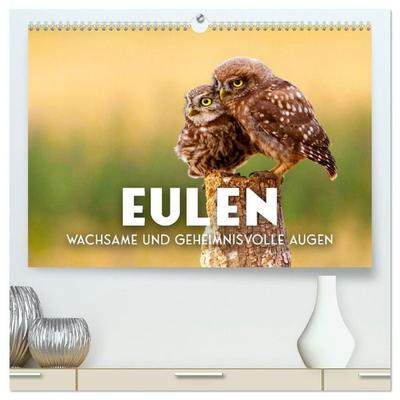 Eulen - Wachsame und geheimnisvolle Augen (hochwertiger Premium Wandkalender 2027 DIN A2 quer), Kunstdruck in Hochglanz