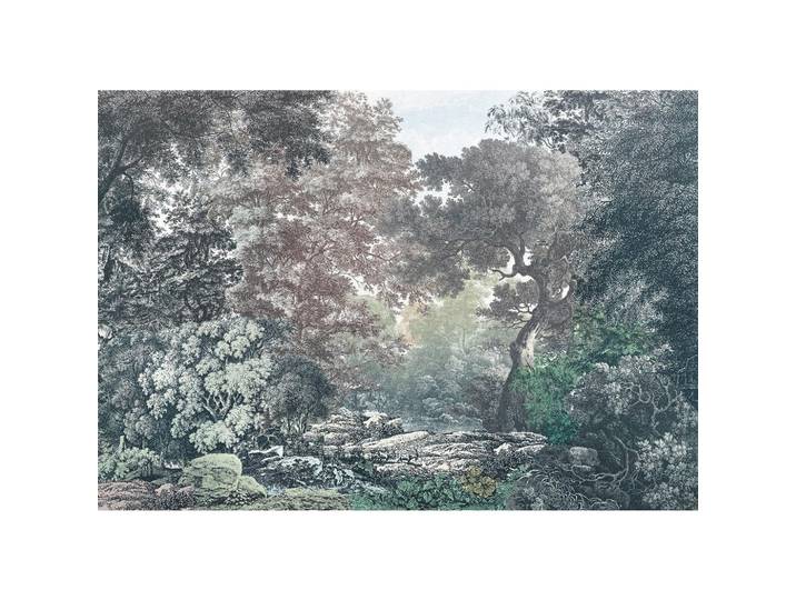 FOTOTAPETE R4-060 FAIRYTALE FOREST
