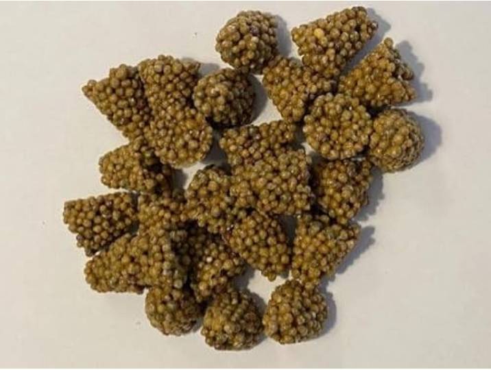 Ferrarium Plantenvoeding voor Balkon- en Terrasplanten 40 Tabletten 210 Dagen Voedingsstoffen 100% Plantaardig