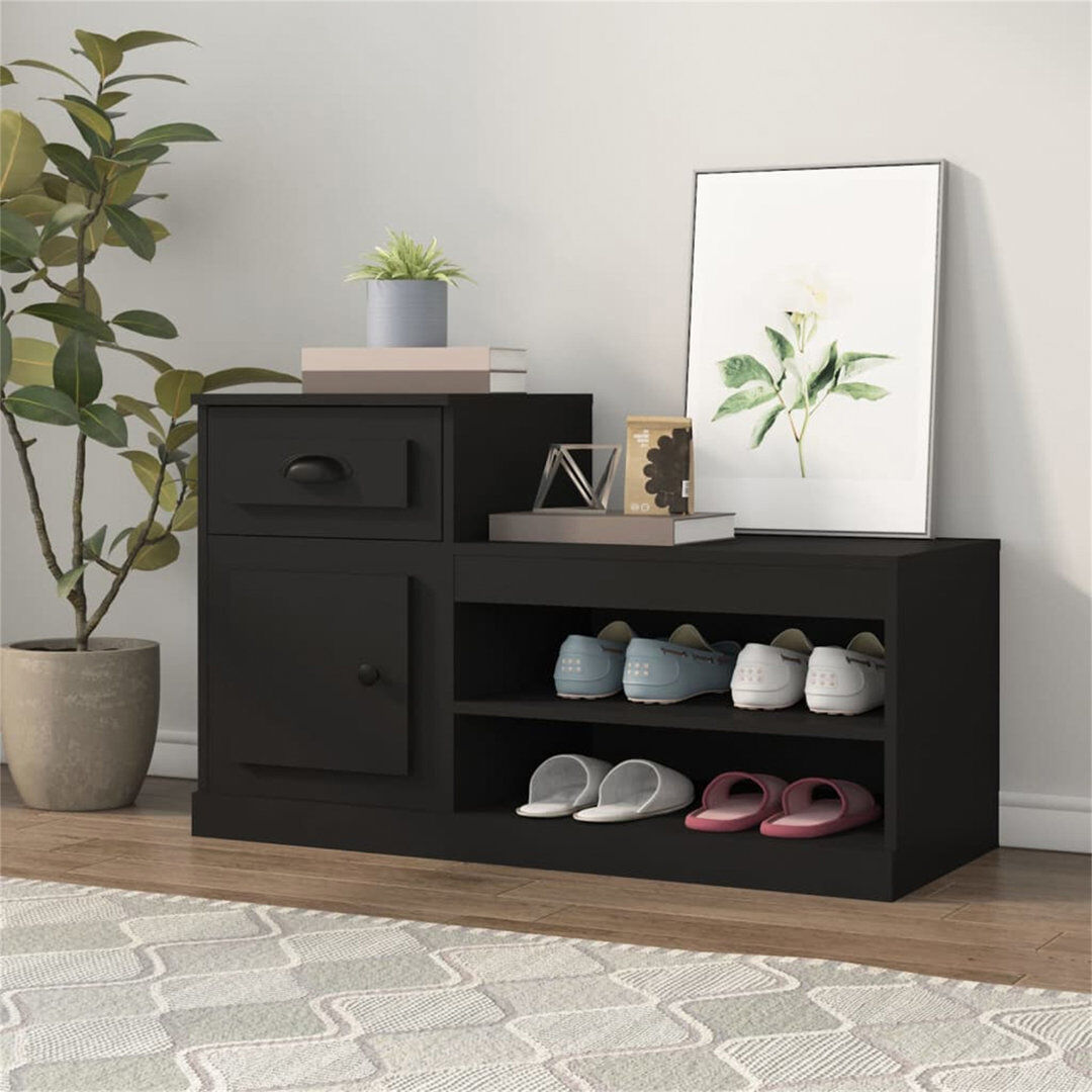 Latitude Run Menzen 8 Pair Shoe Storage Cabinet Black 8