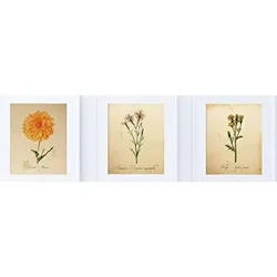 POSTER Set Mit 3 Vintage Kreativ A3 Rahmenlos