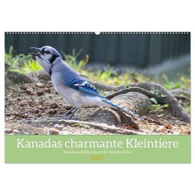 Kanadas charmante Kleintiere - Bezaubernde Einblicke in die Natur (Wandkalender 2027 DIN A2 quer), CALVENDO Monatskalender