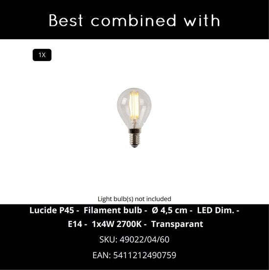 Lucide 45595/01/31
