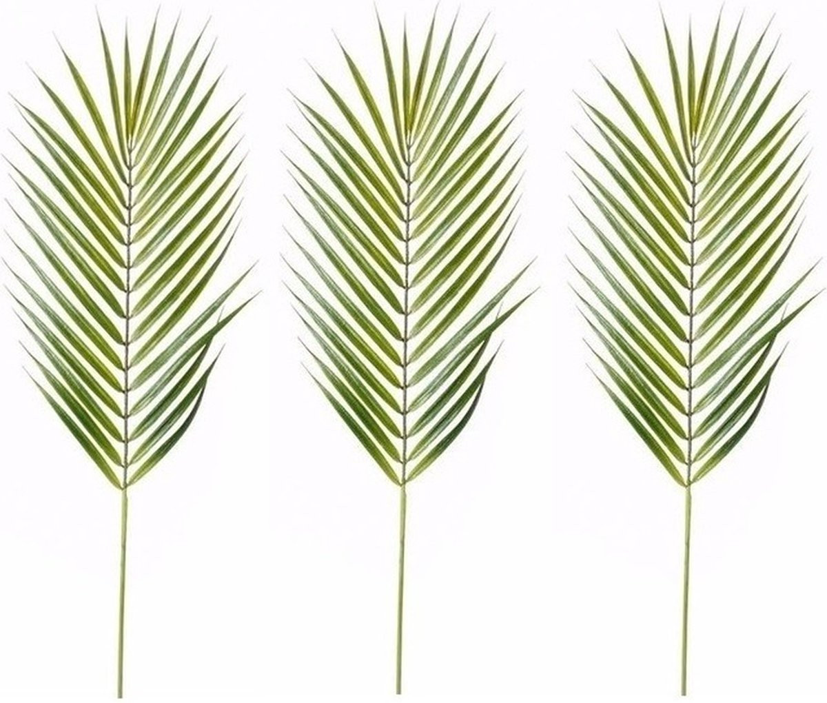 Set van 3 Kunstplanten Chamaedorea Palm met palmbladeren, Hoogte: 75 cm