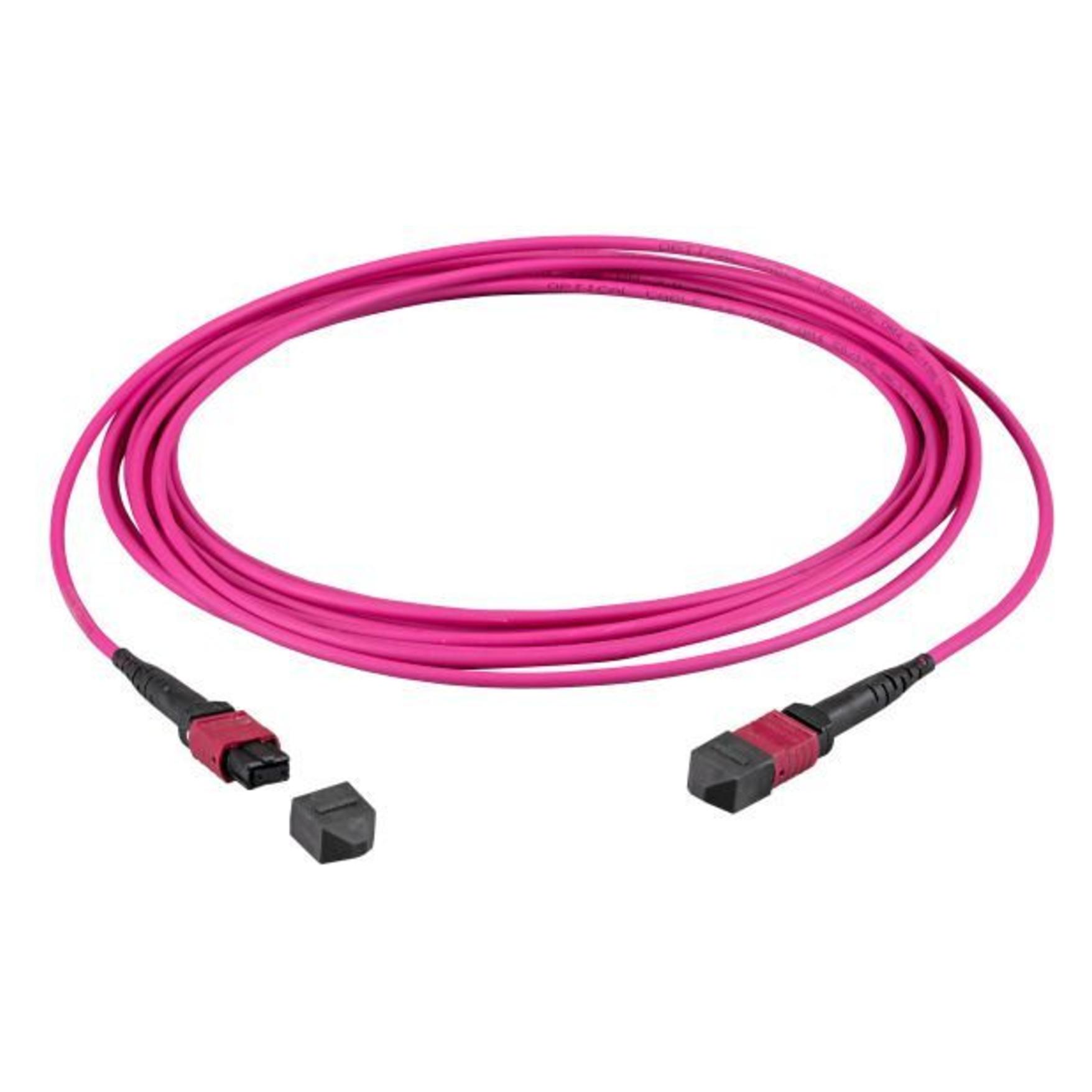 EFB Elektronik MTP-F/MTP-F 12-Fasermatrix Patchkabel OM4,LSZH erika-violett, Code B, 1m, Anwendung (1 m) (MTPF12MTPFOM4-1)