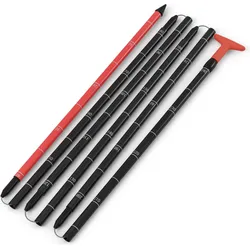 Salewa, Lawinensonde