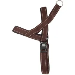 Arka Norvege Neo (XL, Hund, Spazieren), Halsband + Leine