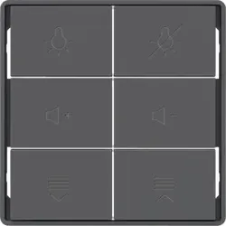 Berker 81183226 Tasten f.Tast.modul,6f,Q.x,ant,bel