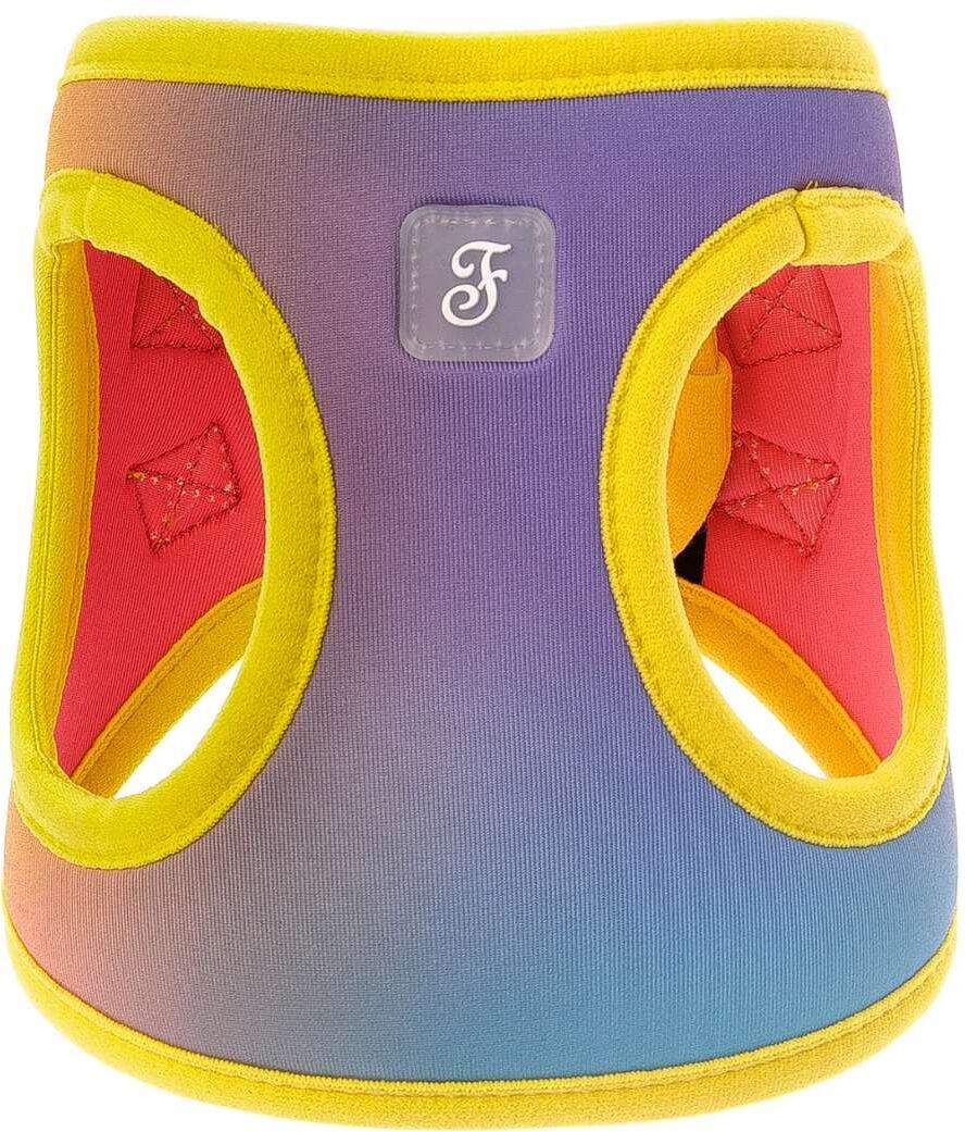 Ferribiella PROMO ULTIMI PEZZI !!! Pettorina Motif Rainbow per Cani 3XS