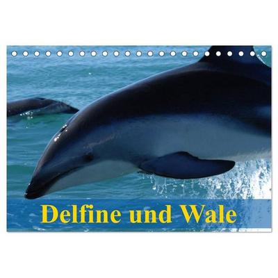 Delfine und Wale (Tischkalender 2027 DIN A5 quer), CALVENDO Monatskalender