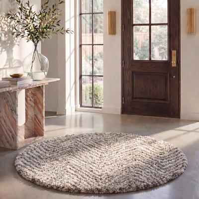 SAFAVIEH Hudson Shag Gulja 2-inch Thick Rug