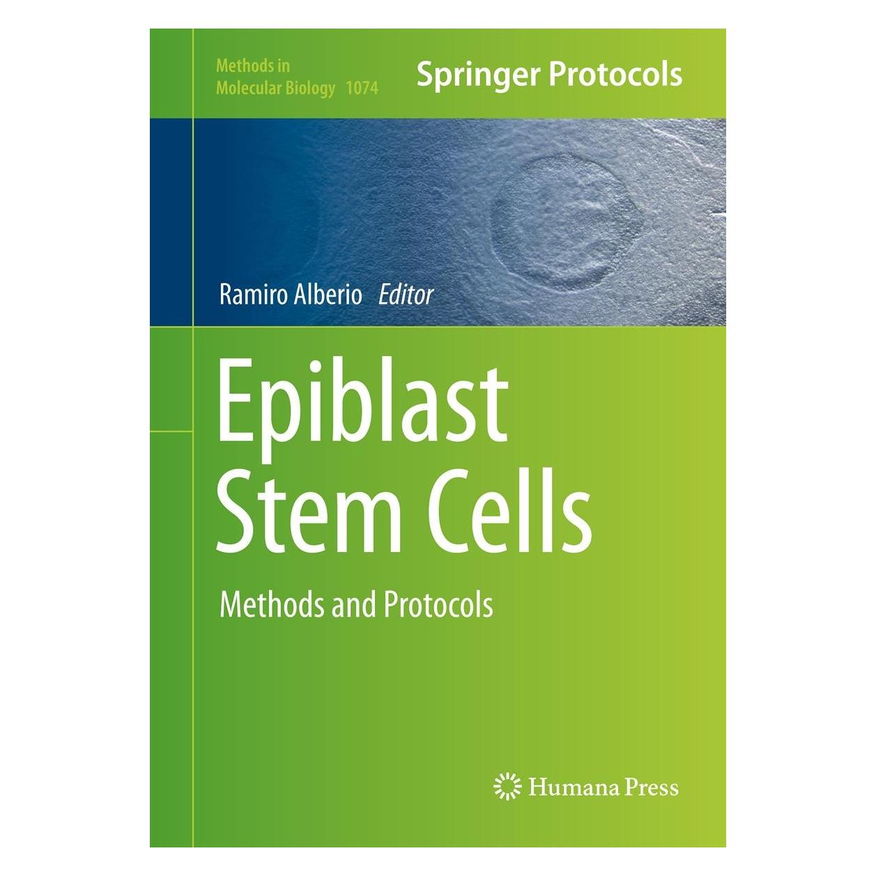 Humana Press Epiblast Stem Cells (Englisch, Hardcover, Ramiro Alberio) (9781627036276)