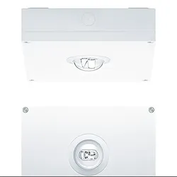 Zumtobel Group Sicherheitsleuchte RESCLITE P #42929800