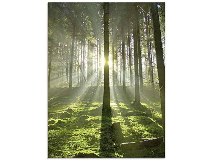 ARTland Wanddeko Glasbilder Wandbild Glas Bild einteilig 60x80 cm Hochformat Natur Wald Landschaft Sonne Bäume Moos Frühling Landhaus T5SV ARTland