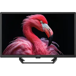 Strong SRT24HG4723C (24", LCD, LED, HD, DE), TV, Schwarz