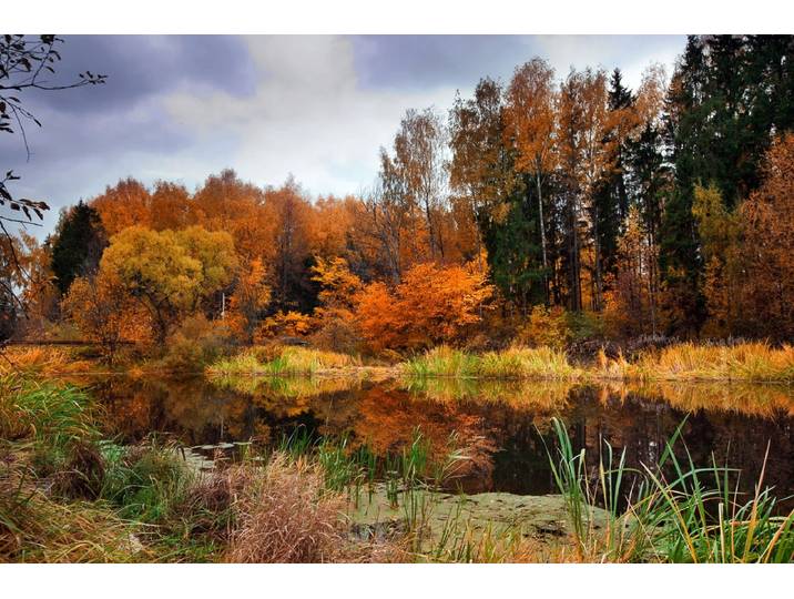 Fototapete PAPERMOON Fluss am Wald , bunt, B:2m L:1,49m, Vlies, Tapeten, Fototapete