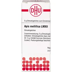 Apis Mellif Lm Xii 5 G