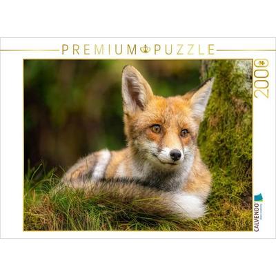 CALVENDO Puzzle Fuchs | 2000 Teile Lege-Größe 90x67cm Foto-Puzzle für glückliche Stunden