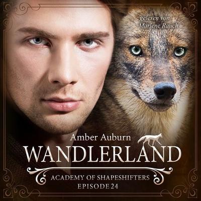 Wandlerland, Episode 24 - Fantasy-Serie - Amber Auburn, Audio, 9783947099696
