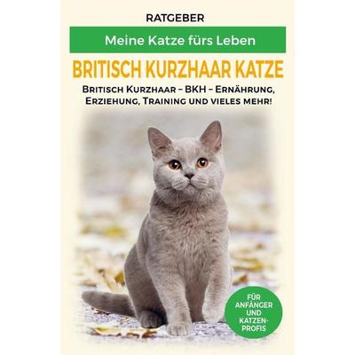 Britisch Kurzhaar Katze, Taschenbuch von Ratgeber Meine Katze fürs Leben, Bookmundo Direct, 978-94-036-2203-3