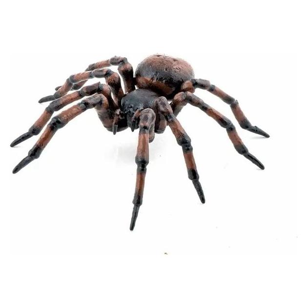 Papo Gemeine Spinne (50292)