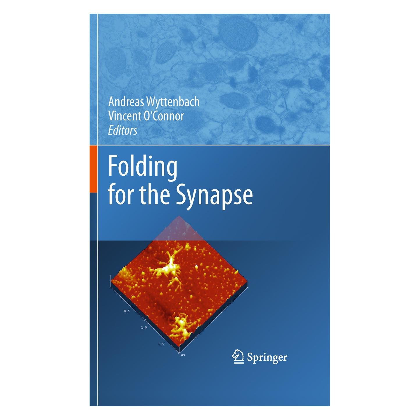 Springer Folding for the Synapse (Englisch, Hardcover, Andreas Wyttenbach, Vincent O'Connor) (9781441970602)