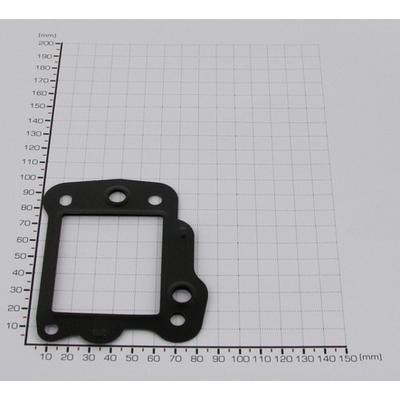 TRISCAN Dichtung 8813 994 für Peugeot