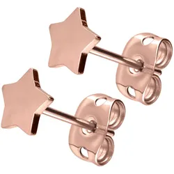 Titan Ohrstecker STERN