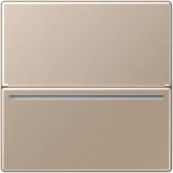 Jung Hotelcard-Schalter A CARD RFID CH